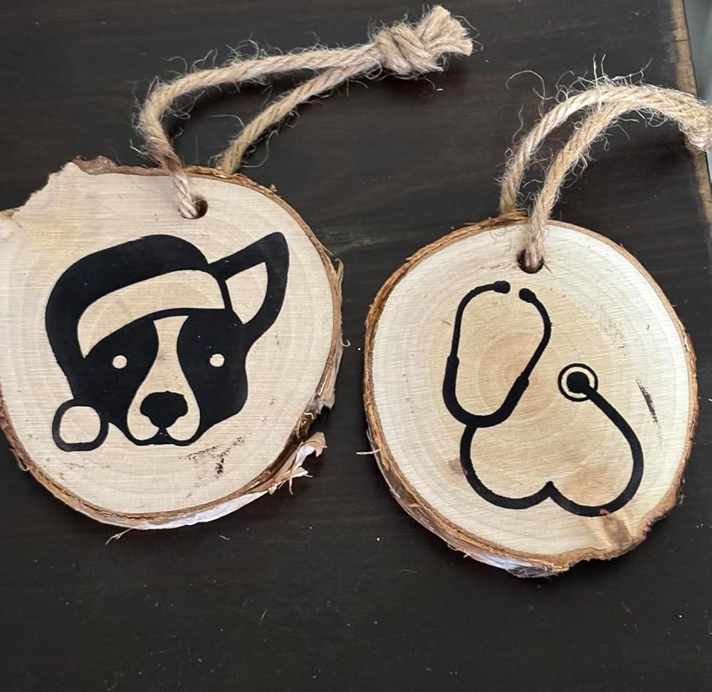 Customer photo: Scorch Paint by Madi S