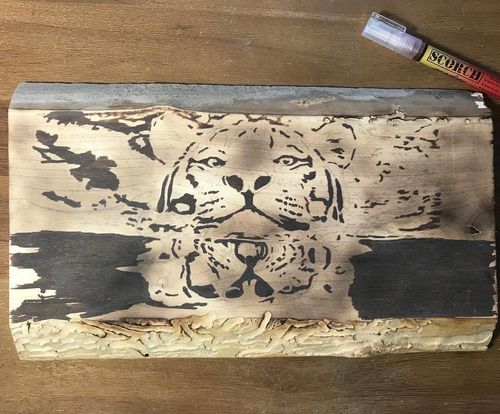 Customer photo: Scorch Marker Pro by Terry P.
