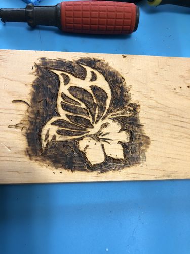 Customer photo: Starter and Creator Toolkits by Marci C.