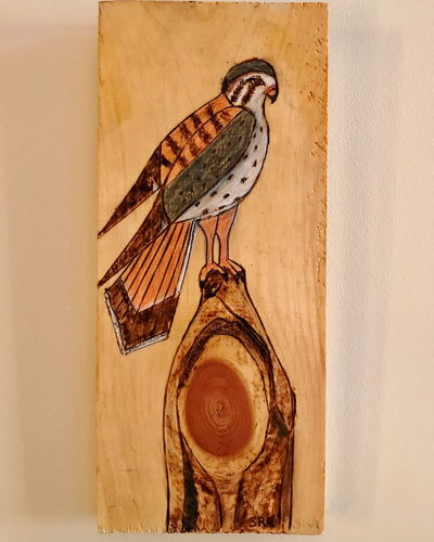 Customer photo: Scorch Marker Pro by Sylvia  A.