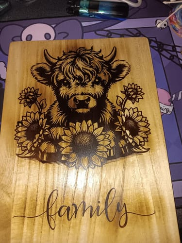 Customer photo: Wood Pre-Treatment by joseph d.