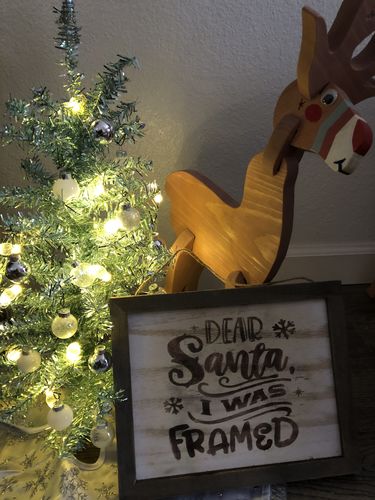 Customer photo: Scorch Marker Pro by Audra V.