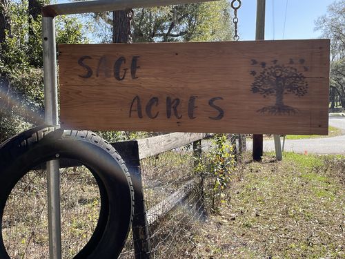 Customer photo: Scorch Marker Pro by Cathy H.