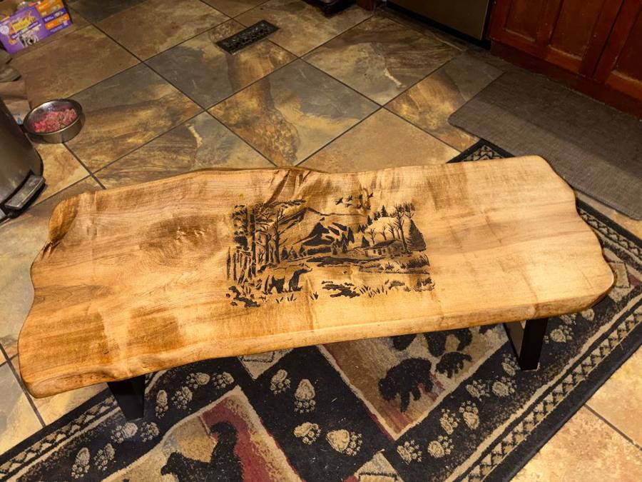 Wood burning project made with Scorch Marker by Michele Bryden