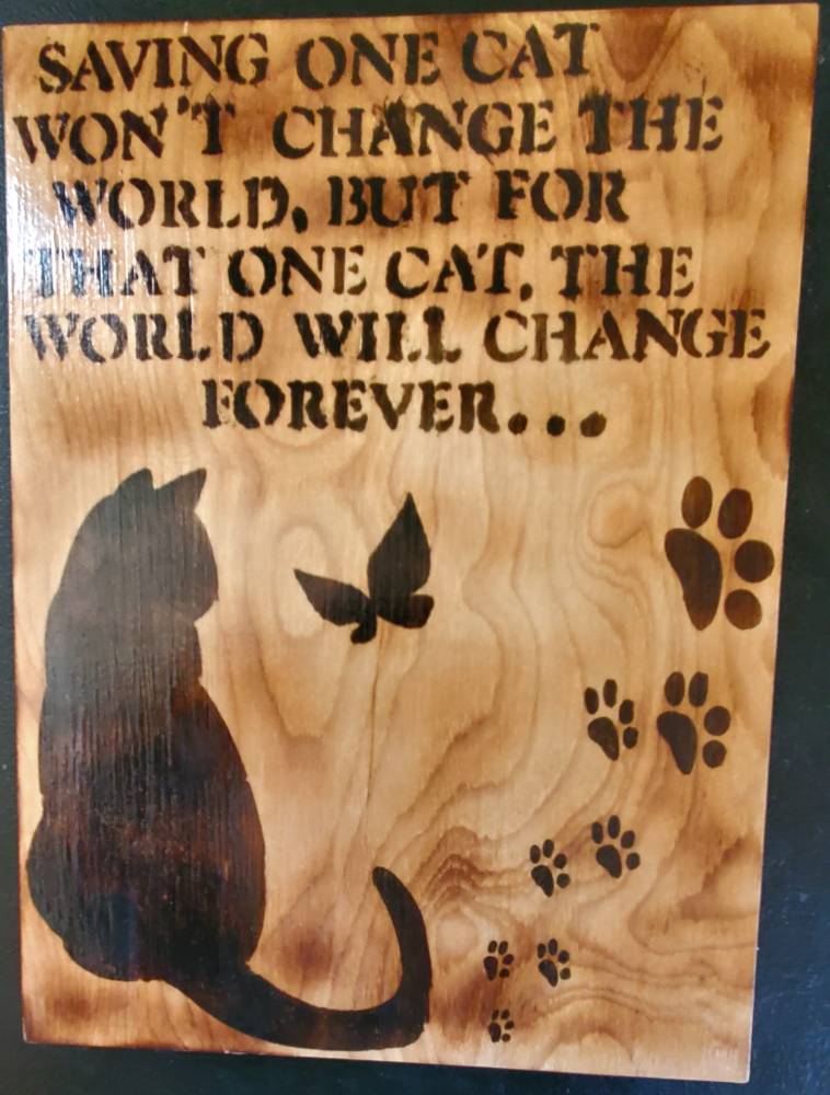 Customer photo: Scorch Paint by Laurie R Marshall